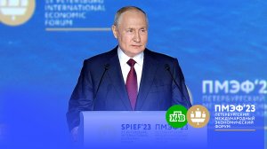 Путин «пожалел» бизнесменов, переводивших активы из офшоров в офшоры