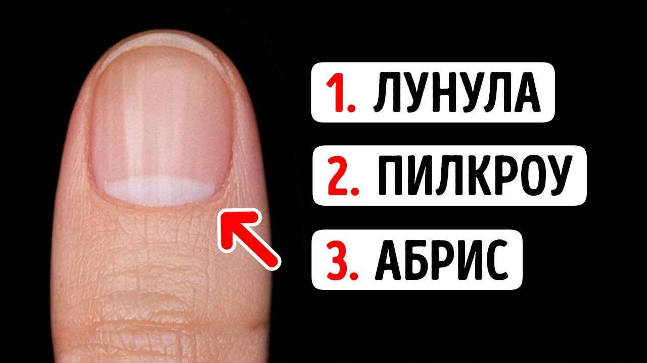 Вы меня впечатлите, если знаете названия всех этих вещей