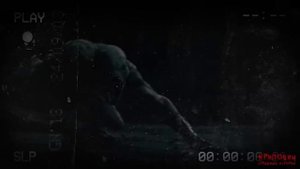 КАНИКУЛЫ В ДЕРЕВНЕ. Страшные истории.mp4