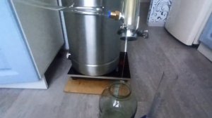 Мацерат из черной смородины.