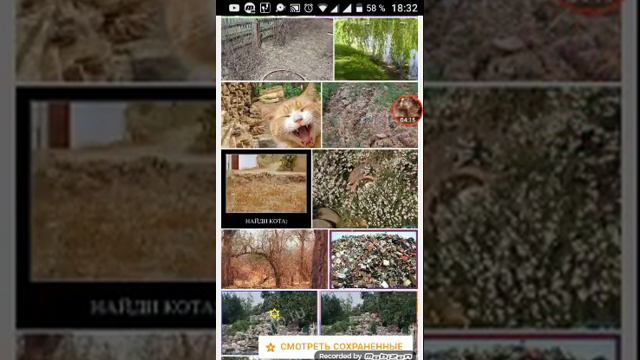 Найди кота только 3% людей пройдут этот тест!! смотреть онлайн