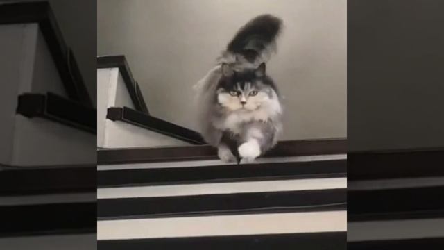 лёгкой походкой
