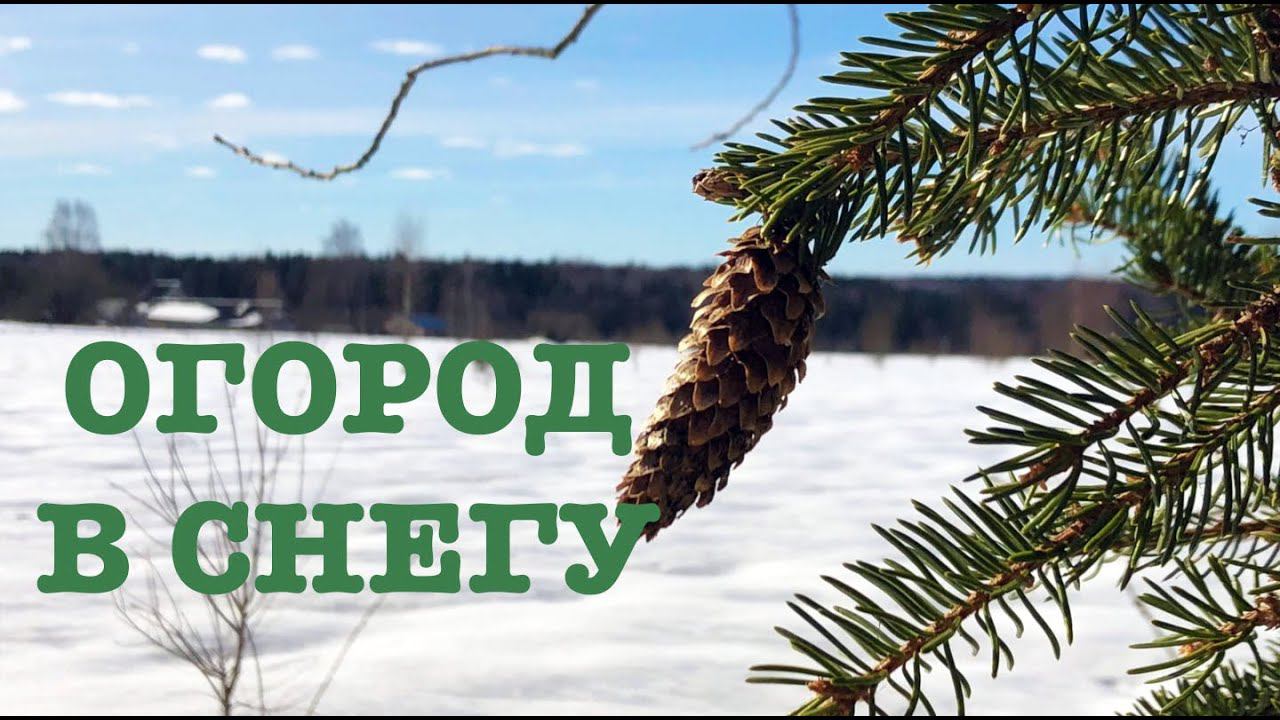 #143. Первые посадки. Нужное приобретение. [Жизнь на своей земле] смотреть онлайн