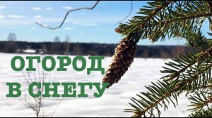#143. Первые посадки. Нужное приобретение. [Жизнь на своей земле]