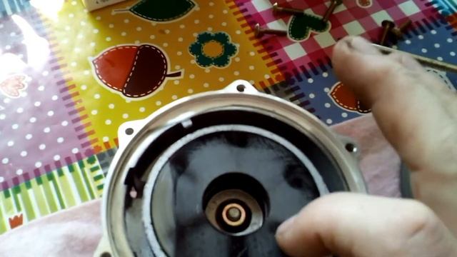 Шум и заклинивание насоса с сухим ротором. Ремонт циркуляционного насоса котла Ардерия. смотреть онлайн