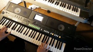 Ronnie Ferrari - Ona by tak chciała (COVER) YAMACHA PSR S650