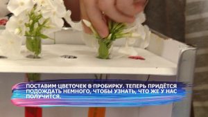 Шудон корка. Цветы 05.08.2023