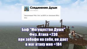 Lineage 2 Essence. Камаэль Инквизитор "СБ" обзор.