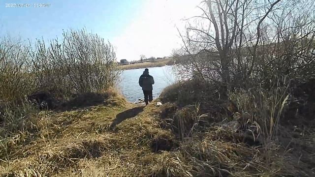 Ловля густеры на фидер в апреле. смотреть онлайн