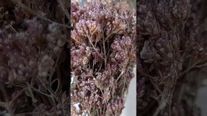 заговор Денежный, на удачу на перья птиц