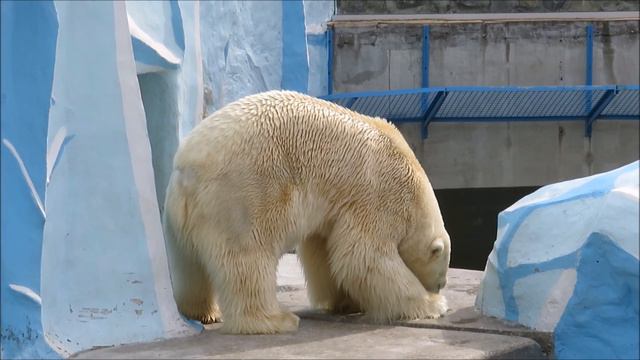 Ужин у Кая 17.04.2023 смотреть онлайн