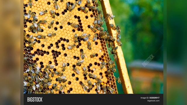 Промыслы российского села смотреть онлайн