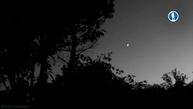 Глазами живой природы смотреть онлайн