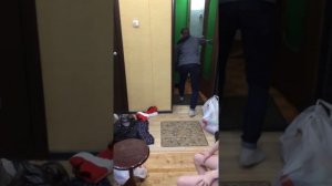 Сын пришёл из армии, Бигль встречает