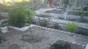 Удобные и красивые грядки короба