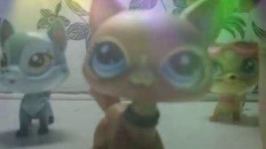 Модные журналы, глянцевые страницы