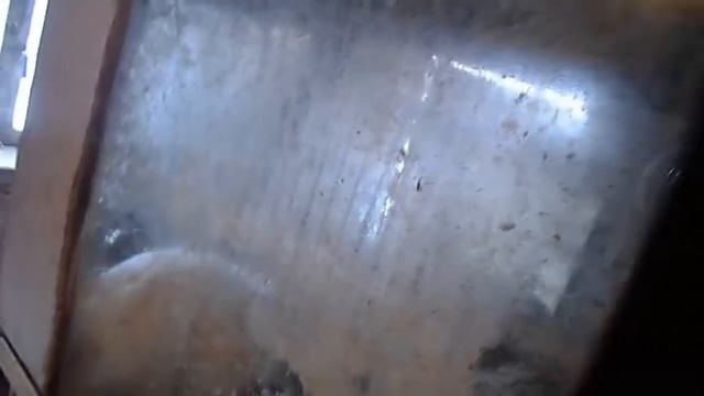 Первые ягнята и крольчата 2020 года//Жизнь в деревне смотреть онлайн