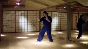 21 форма Илицюань: фрагменты | Iliqchuan 21 form: fragments