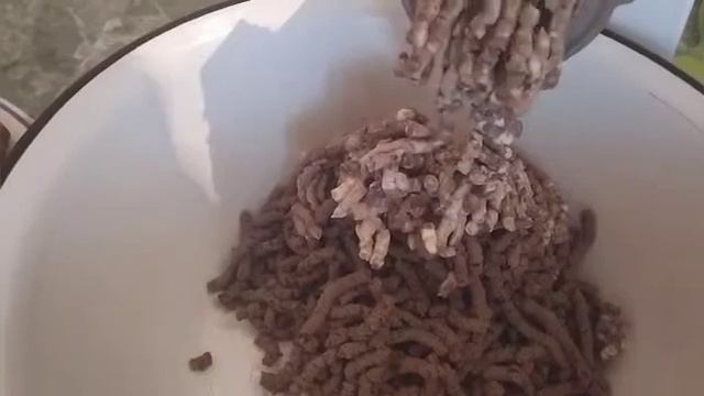 Обалденный домашний паштет из свиной печени.