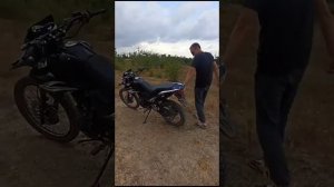 Обзор Зид 250