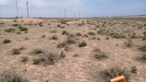 Очередной коп в степях Калмыкии.