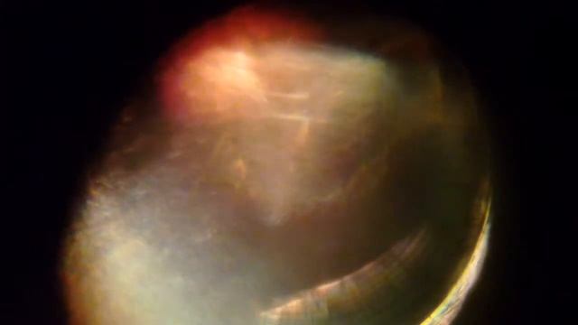 Сосулька под микроскопом. смотреть онлайн