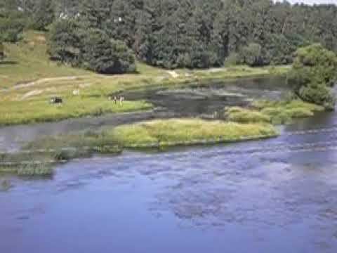 Москва-река в районе санатория "Дорохово" (25.07.06)