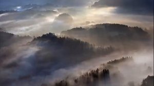 Красивые туманные пейзажи