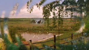 Автор проекта Любовь Соколова . Сборник  песен Валерия Заведяева