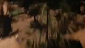 Fortunate Son (Vietnam music video)