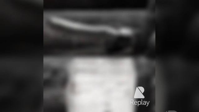 Как поддомкратить или как отремонтировать дом 1 часть