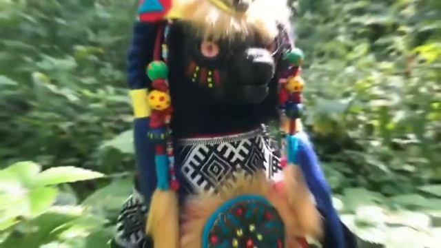 Магический помощник Колдун Динго (с подселением) смотреть онлайн