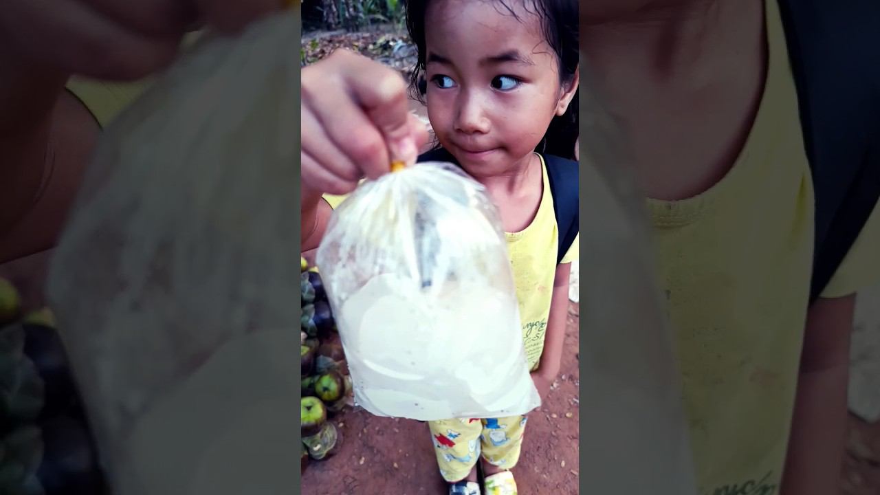 Плод сахарной пальмы #камбоджа смотреть онлайн