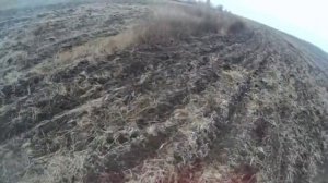 Супер охота на зайца по чернотропу.