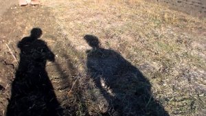 Подготовка почвы к посадке чеснока ,тонкости обработки после соломы.