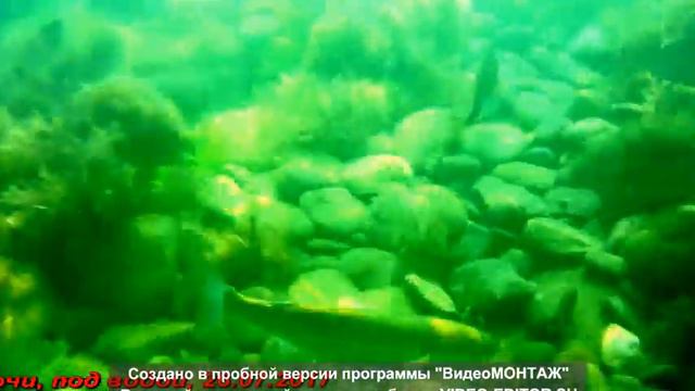 Сочи, Светлана, Под водой 26 07 2017