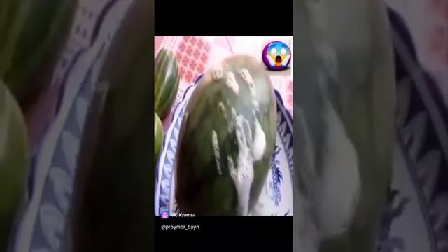 Вот чем кормят наРод! @proymor_bayn смотреть онлайн