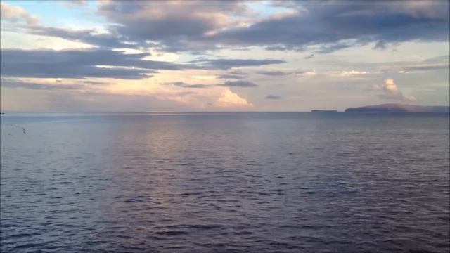 Практика "ВНУТРЕННЯЯ УЛЫБКА" по Мантек Чиа смотреть онлайн