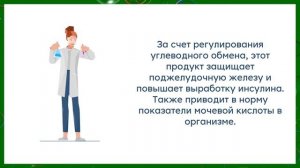 ГИНКГО БИЛОБА | ПОЛЬЗА И ВРЕД