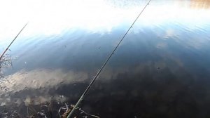 видео рыбалка +на карася  http://bogana-fish.ru/