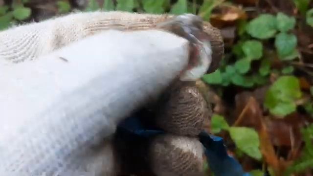 Нашёл не то что искал... смотреть онлайн