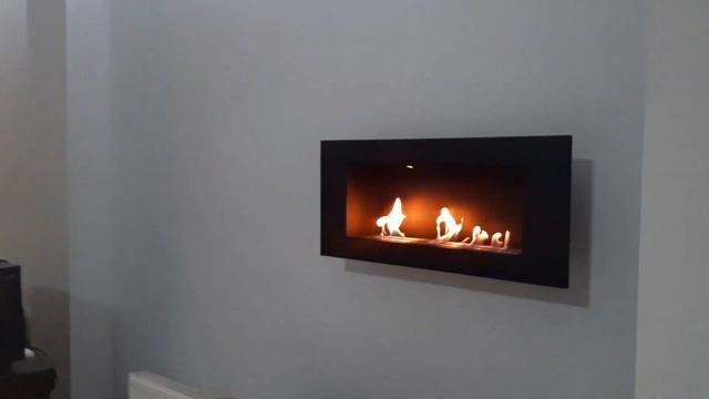 БИОКАМИН. Что это? Настоящий огонь!