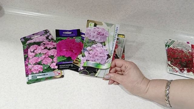 Семена пеларгонии нужно посеять в первых числах января.24.12.2022 смотреть онлайн