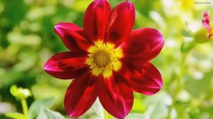 Самая красивая лирическая музыка для души! Эту музыку можно слушать вечно! Музыка Сергея Грищука