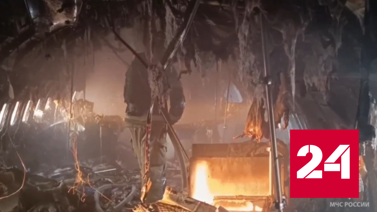 Ту-154 загорелся в зоопарке Читы - Россия 24