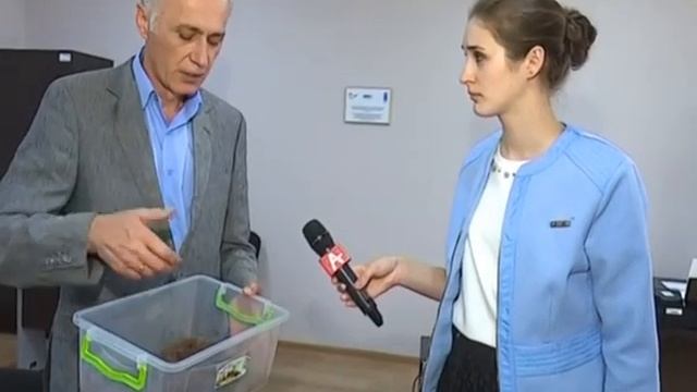 Пальмовый долгоносик (абх) 05.09.2017 смотреть онлайн