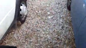 Не охлаждает Carrier Maxima 1300 или обломанный коленвал)