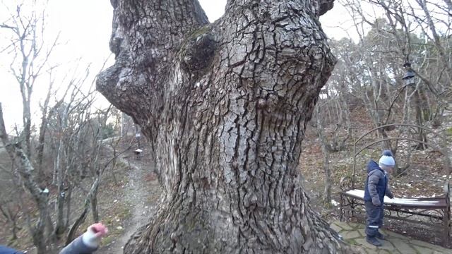 Кабардинка. Форелевое хозяйство в Кастальсой купели. Море, пляж, набережная. ( Папа Может)