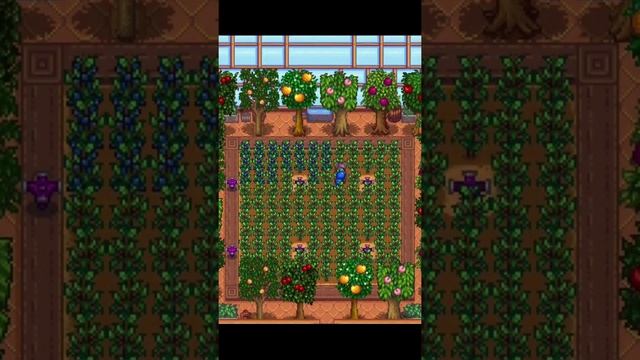 STARDEW VALLEY // СЕКРЕТ ВЫГОДНОЙ ТЕПЛИЦЫ