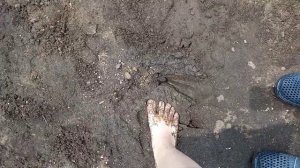 Зыбучие пески у нас на даче.